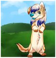 Cute Corgi