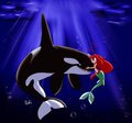 Mermaid's friend forever by CobaltPie