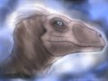 Raptor by NaraVox
