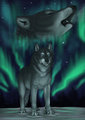 ..:: Northern Lights ::..