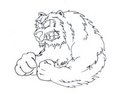 A Bear Sketch