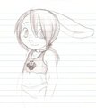 Random Sketches