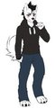 Jacob Husky by xXAlphaWolfArrowXx