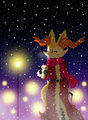 Winter Night