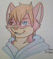 my fursona by AlucardHSwolf
