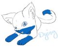 Kitteh!