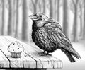 A fat crow by Bombird
