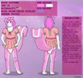 Sapphire's Scollie form (Skunk Collie Mix)