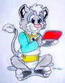 playing on my 3DS
