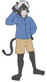 Rocking kitty