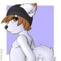 Six by Dekri