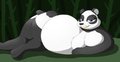 Panda Babe?