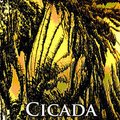 Cicada by eagleon