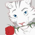 New icon by Akuva