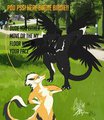 A Day At The Park