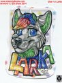 CBE Badge - Larka 