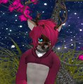 Kodey The Reindeer ^^ by KodeyCaribou