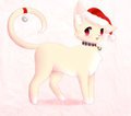 feline beauty