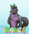 Trance Husky