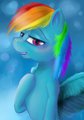 Rainbow Dash - Portrait by MistChaser