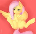 Fluttershy by MistChaser