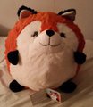 Meet Foxy Junior