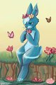 Flower Boy by Loike
