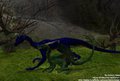 Walking Dragons (no yiff version)