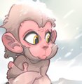 Snow_monkey