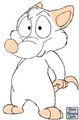Rat