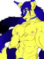 Zannon koitsu ref  by Dionn1993