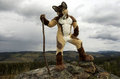 Roan fursuit by Lace