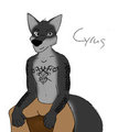 FreeArt- Cyrus by Tetsunapi