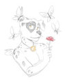 Butterflies All Around Yay!!