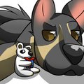 A dogs best friend