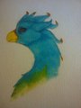 Griffon fox headshot( read info to adopt) by yangsama