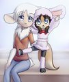 Year of the Sheep