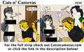 Cats n Cameras Strip #249 - It's knot a problem REALLY! by cheetahjab