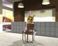 Bunnie Lounging