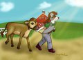 Down on the Farm
