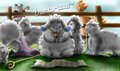 Sheep Lured Erakir