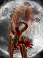 Stealth of the Night (Famine Dralion Form)