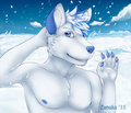 Arctic wolf Zan by zanuka