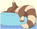 Lazy Furret