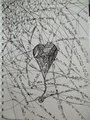 The Strings of the Heart