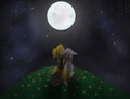 One Day, Under The Stars...