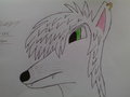 Anime Wolf by DeynaLorne