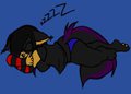Sleeping Kitty