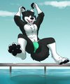 Making A Big Splash
