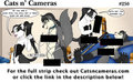 Cats n Cameras Strip - #250 Mistress Josie by cheetahjab